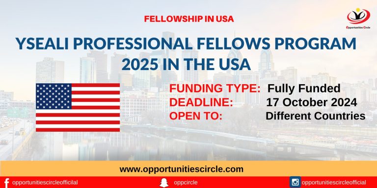 YSEALI Professional Fellows Program 2025 in the USA