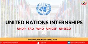 UNITED NATIONS INTERNSHIPS